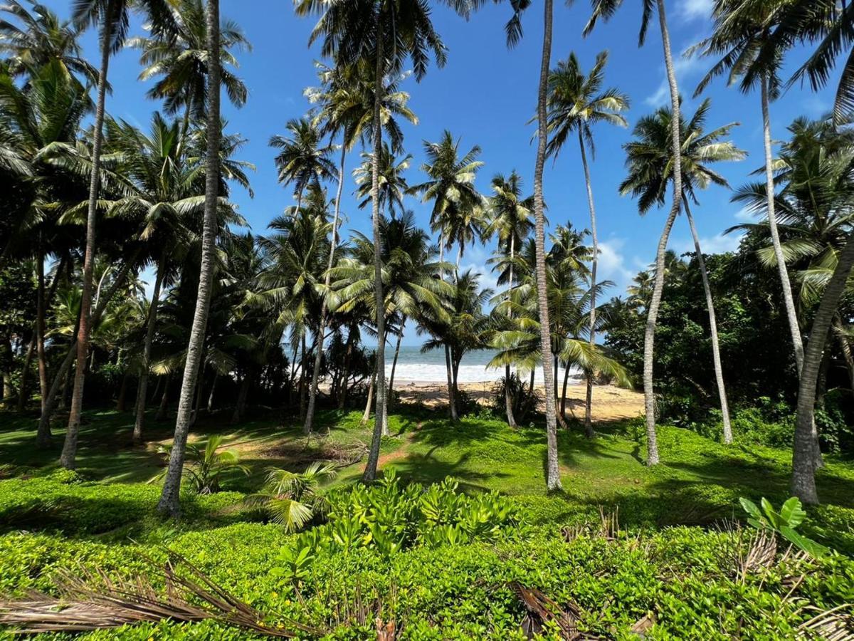 Urban Galle Villa المظهر الخارجي الصورة
